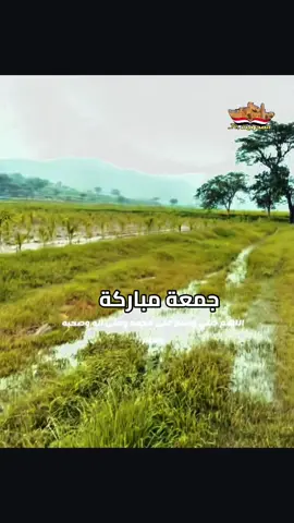 #جمعتكم_مباركة #جمعتكم_معطره_بالصلاة_ع_الرسول #اللهم_صلي_على_نبينا_محمد 