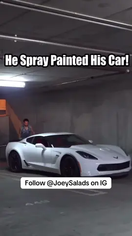 Spray Painting Cars Prank #Pranks #JoeySalads #ViralVideos 