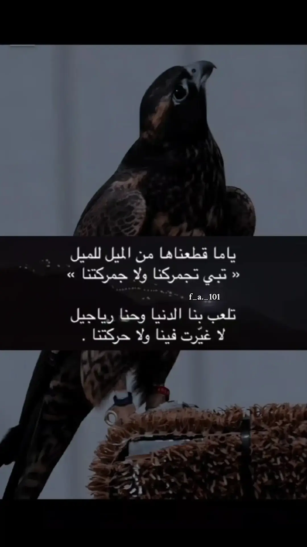 ياما قطعناها من الميل للميل تبي تجمركنا ولا جمركتنـا  #قصيده_شعر_بوح_كلام_من_ذهب  #قصيده #explore  #قصايد_شعر_خواطر  #___musically___ 