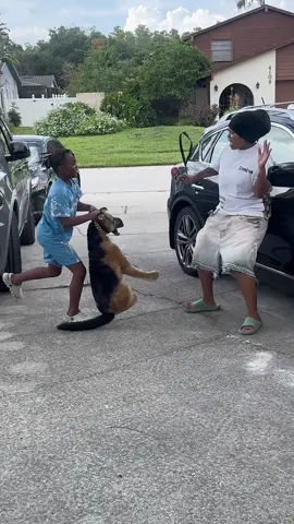 Fake Dog Prank. My son took my dog n did my prank smh 🤣🤣 #foryou 