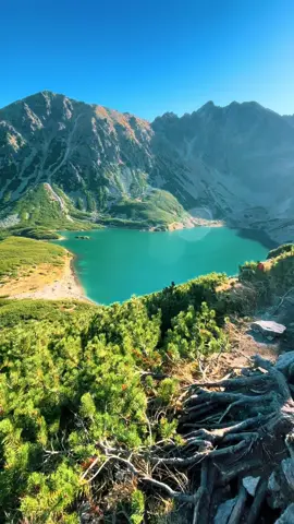 #facetpo40 #singiel #men #facet #gory #tatry #polskifacet #polska🇵🇱 #po40 #slonce #natura 