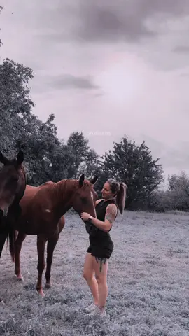Ma plus belle revanche sur la vie  ❤️. #pourtoii #foryou #horsegirl 