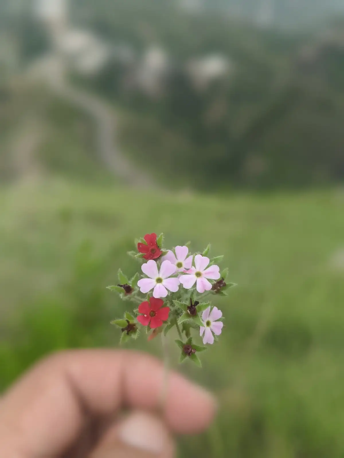 زندگی میں ہر شخص کو ایک ایسے شخص کی ضرورت ہے جو ہر مایوسی کے بعد اُسے گلے لگائے_❤️#🍂🖤 #🍂🖤 #🍁 #greenscreen #beauty #butterfly #aesthetic #growmyaccount #unfrezzmyaccount u #following #everyone #foryoupageofficiall #🌸 #goviral #pyf #you #pyfツ #ژوند #مینه_او_ژوند🥀 
