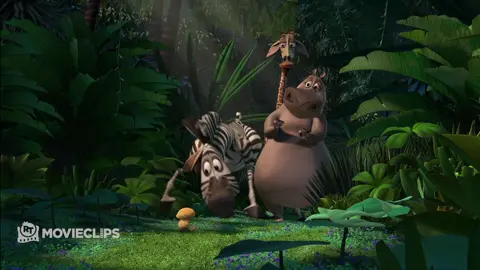 What a Wonderful World - Madagascar (2005) - TM & © #UniversalPictures Alex (Ben Stiller) reluctantly leaves his friends to be a predator. Click the link in bio to watch the full movie.  #madagascar #madagascarmovie #movieclips