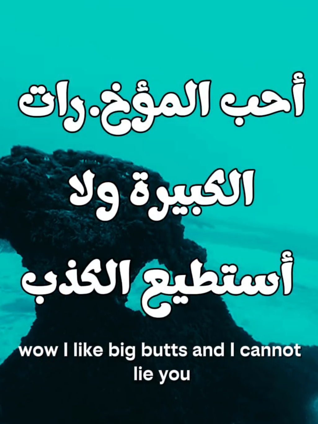 اغاني مترجمة اغنية baby got back by sir mix a lot #اغاني_مترجمة #اغاني_اجنبيه #اغاني_اجنبية_مترجمة #sirmixalot #fyp 