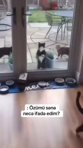 belə😍