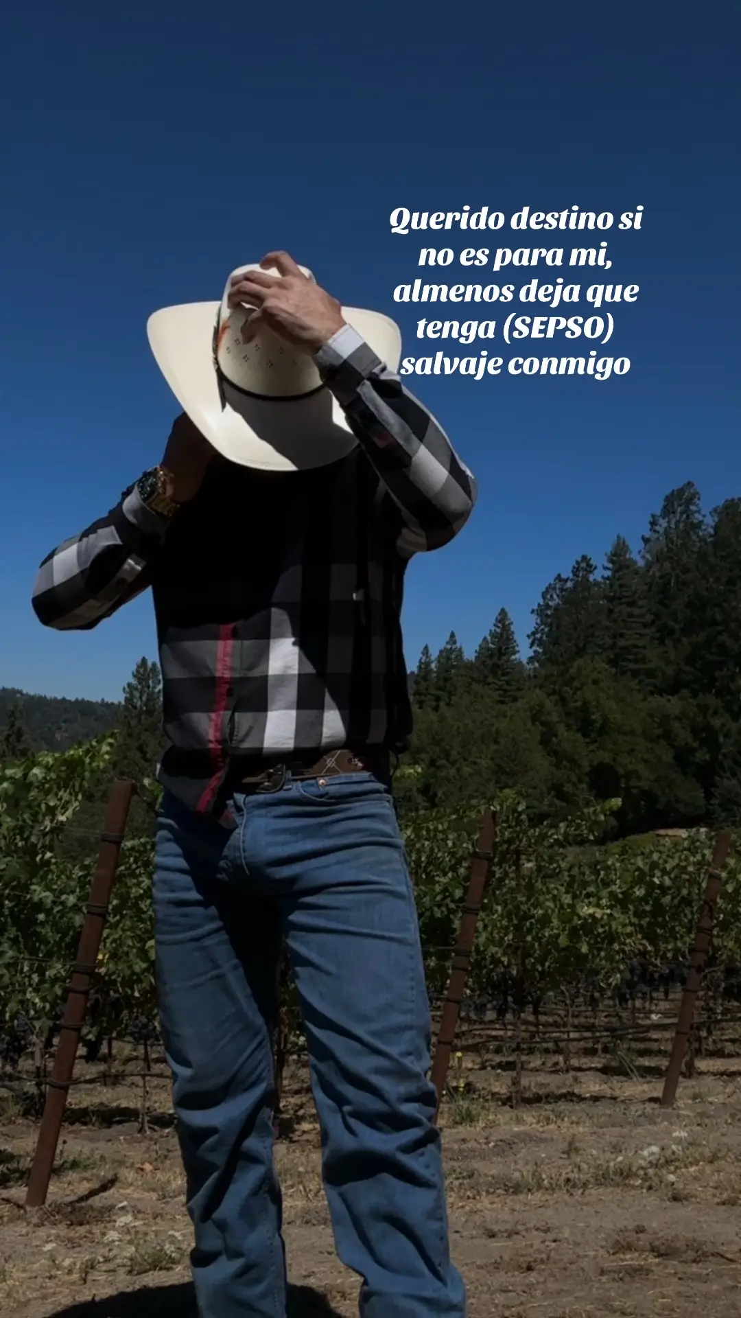 #vaquero 
