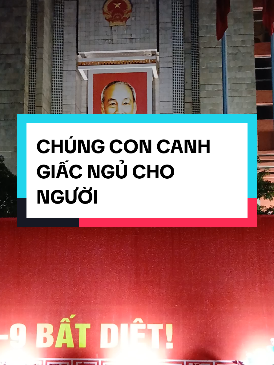 Bài hát hay quá #nhachaymoingay #bacho #xuhuong 