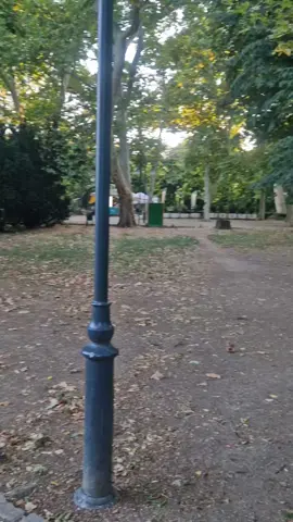 Parcul Cișmigiu din capitală - un peisaj dezolant #parc #primaria #bucuresti #romania #viral  @Primăria București 