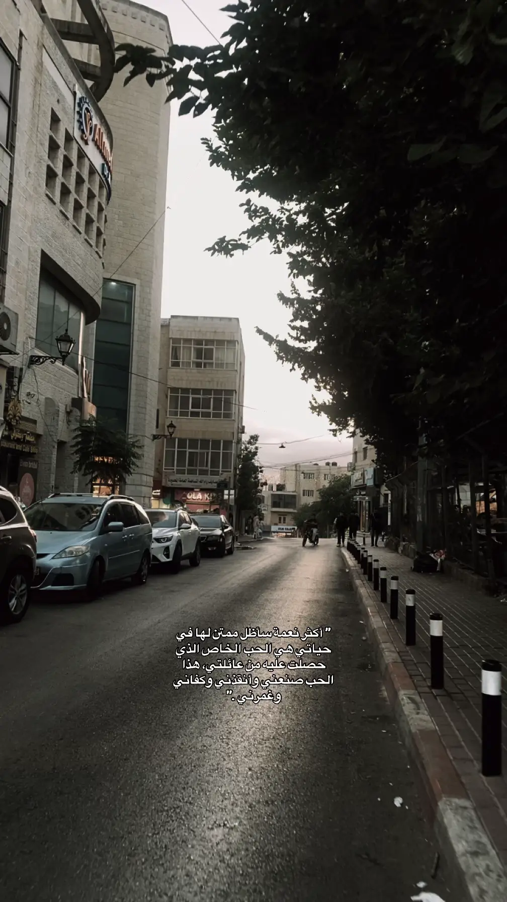 #الجامعة_العربية_الامريكية  #جنين_نابلس_طولكرم_رام_الله_فلسطين 