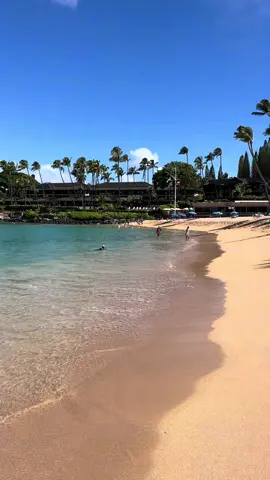Napili Bay Beach 🏖️ Maui, Hawaii 🌺 