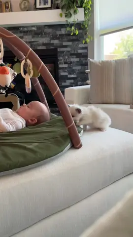 Anytime I would move Quinton away, he would crawl back to the baby 