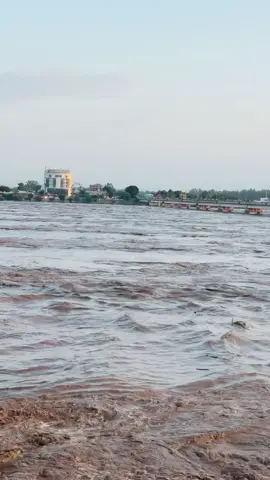 Chenad in flood                         #plzunfrezemyaccount #100kviews #foryouu #unfreezemyacount #flypシ  @Mujahid Hussain  @waqas  
