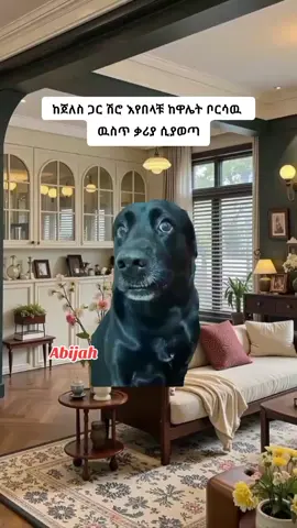 just for memes 🙄