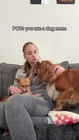 Just a dog mama to 2 pups  #dogmom #dogsoftiktok #dogs 