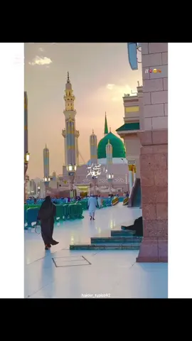 وا وا ﷺ 🥺🥹#wheneverwhenever #foryoupage #supportmeplease #newaccountfollowme #