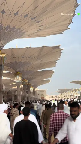 الليله ناوي أزور للمدينه أم سور💚#المسجد_النبوي_الشريف #السودان #مديح #اللهم_صل_وسلم_وبارك_على_نبينا_محمد 