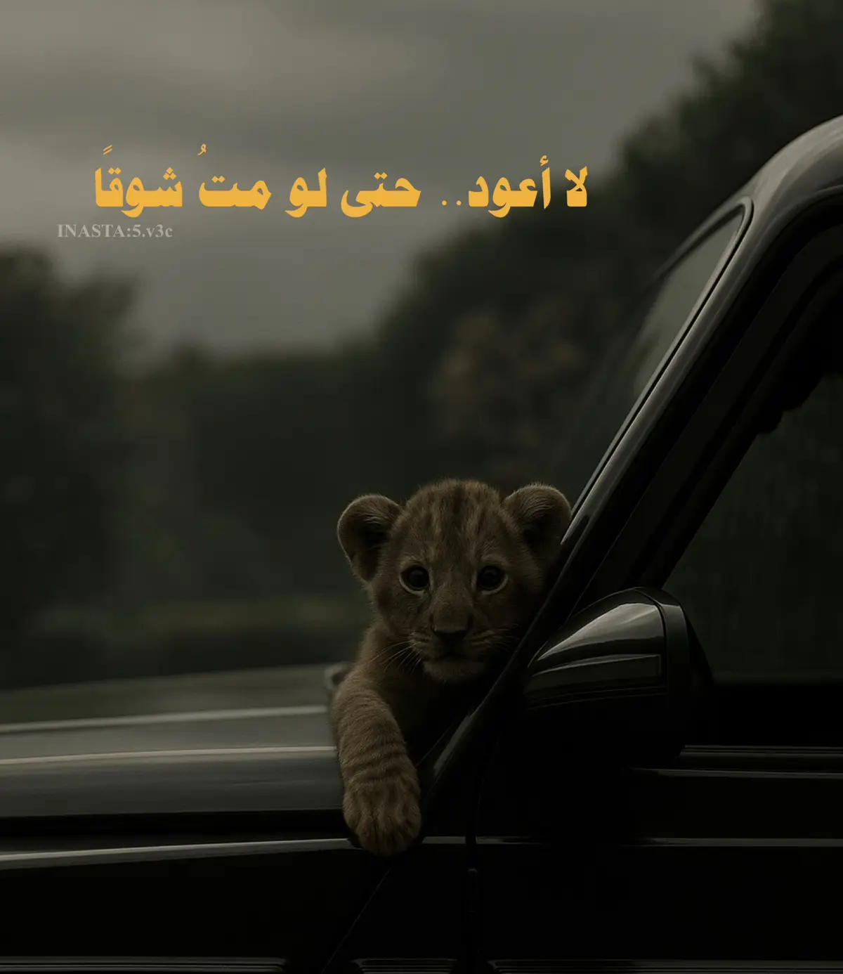 هذه الصفحة صديق لمن لا صديق له ❤️ #اقتباسات #نصوص_عميقه#كلمات _تلمس_القلب_#منعزل #كتابات