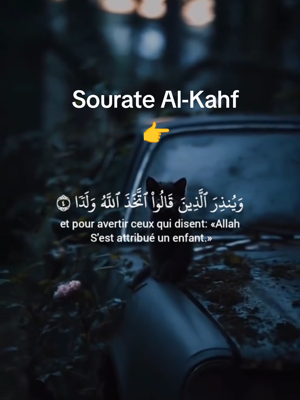 Sourate Al-Kahf #sourate #verset #mâchaallah #recitation 