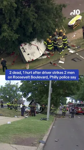 Two men were killed and a third man is in extremely critical condition after a van struck two pedestrians on Roosevelt Boulevard on Thursday, police said. A man was driving a white van southbound in the outer lane of East Roosevelt Boulevard around 2 p.m. when he struck two men who were walking in the area, according to investigators. The driver of the van was pronounced dead at the scene by responding medics at 2:38 p.m. Both men who were struck by the van were taken to Jefferson Torresdale Hospital. One man was pronounced dead at 2:49 p.m. while the second man was placed in extremely critical condition, police said. Officials have not yet released the identities of the victims. #rooseveltboulevard #philly #nbc10philly 
