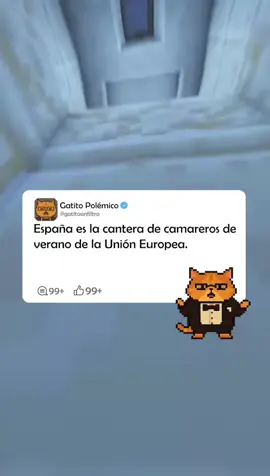 españa es la cantera de camareros de verano de la unión europea #gatitopolemico #gatitosinfiltro #opinion 