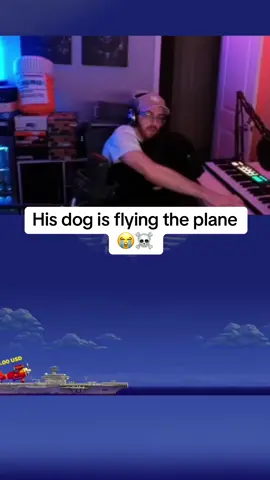 His dog is flying the plane 😭☠️ #dog #plane #flying 