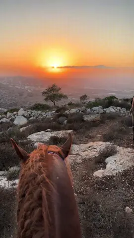 #خيل_وخياله🐎 #نادي_قباطية_للفروسية #اللهم_صلي_على_نبينا_محمد #طبيعة #ماشالله_تبارك_الله✅ 