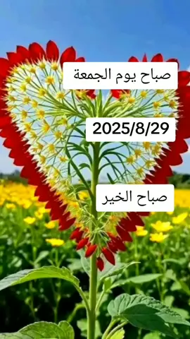 ##صباح##الخير##