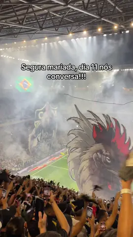 #atleticomineiro #galoucurabh #viral_video #galo #foryoupage 