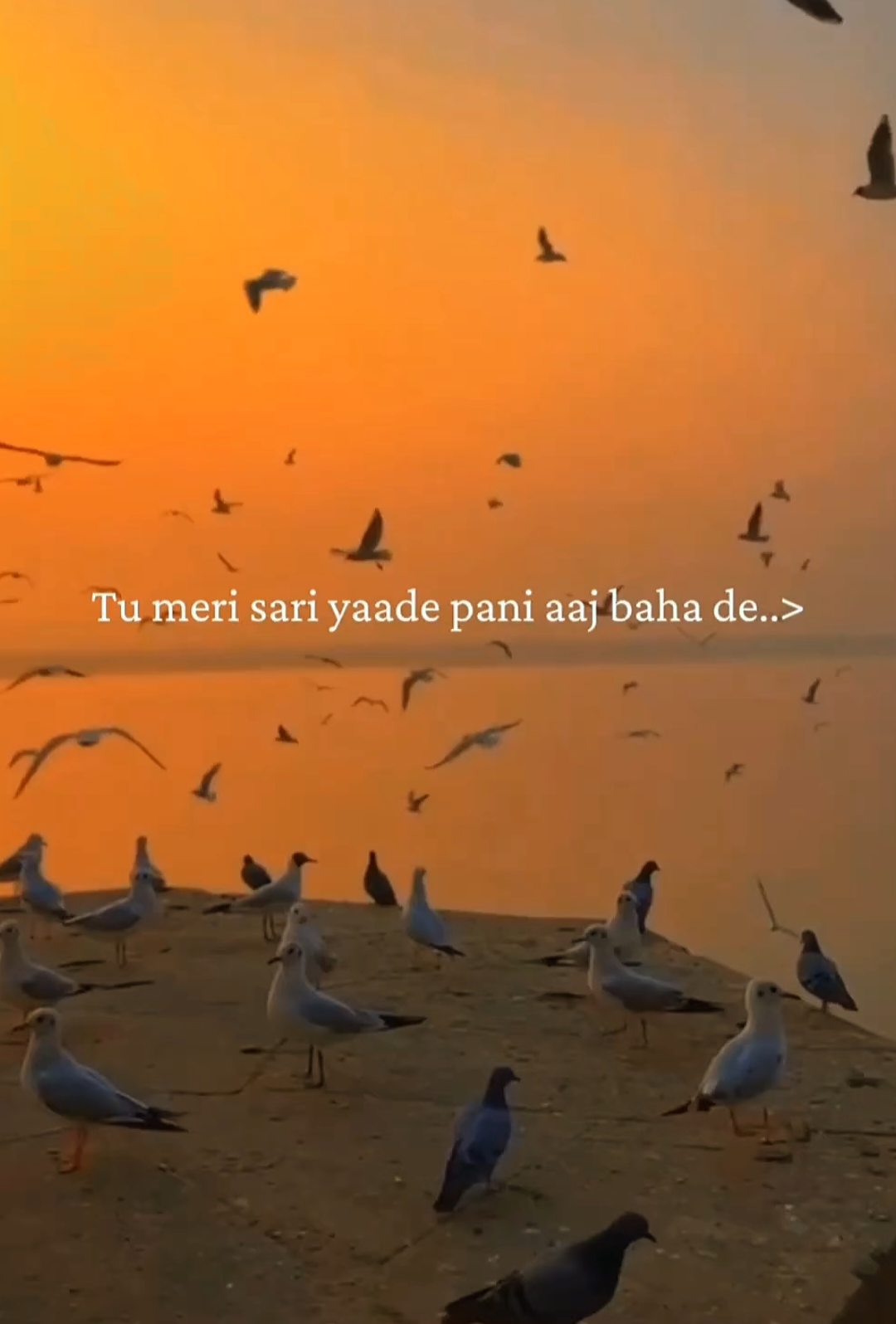 this song 💕 tu meri sari yaade pani aaj baha de 💞🥰#lovesong #lyrics #foryou #fyppppppppppppppppppppppp #tranding 