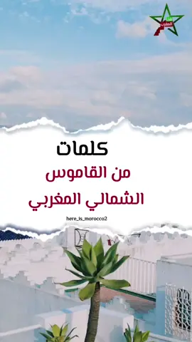 ناس الشمال عطيونا من قاع الخابية ♥️ #طنجة #المغرب🇲🇦تونس🇹🇳الجزائر🇩🇿 #المغرب🇲🇦 #اكسبلور #المملكة_المغربية_الشريفة🇲🇦 