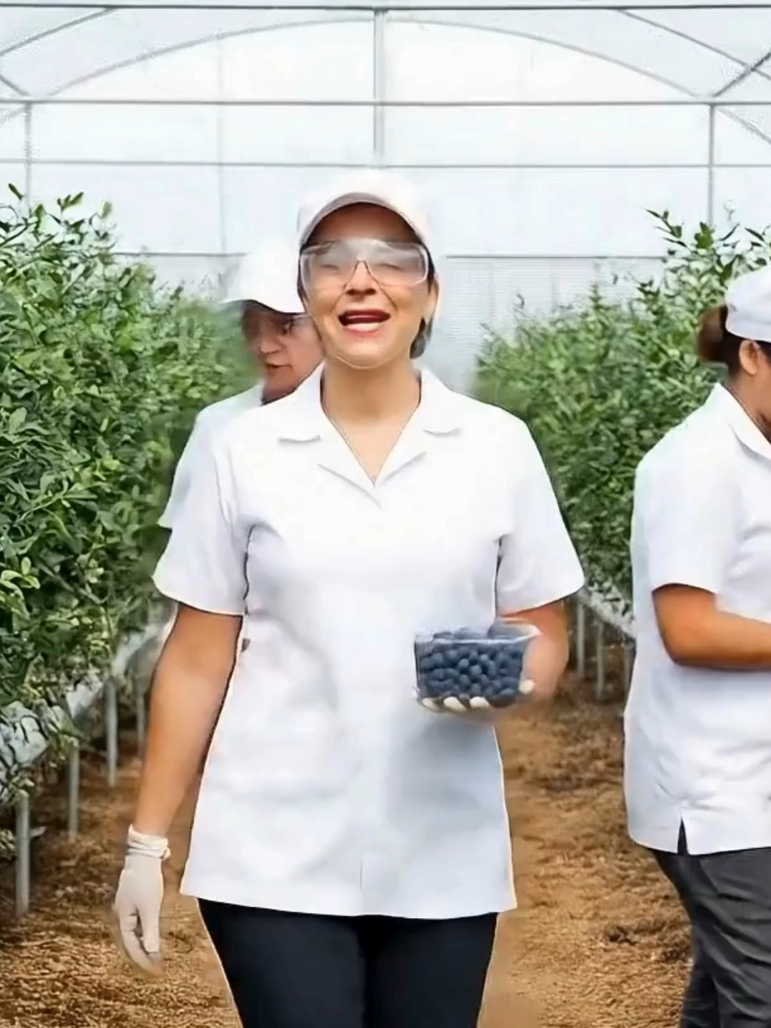 Se Busca 🫐 Empacador de Arándanos — selección, clasificación y empaque de fruta fresca, línea de producción, control de calidad, etiquetado, turnos rotativos, sin experiencia. #Empleo#Trabajo #Arandanos #Empaque #mx #BuscasTrabajo2025 #Empacadores