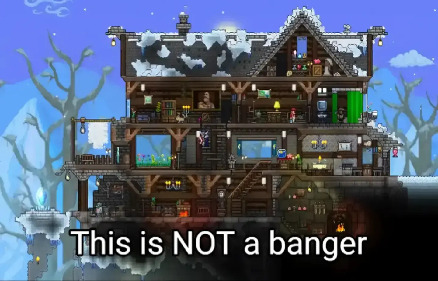 #terraria #terrariameme #terrariacontent #housing #npc 