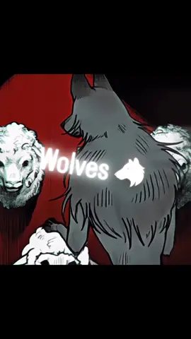 Wolves 🐺 #dak4real_ #fyp #virał #explore 
