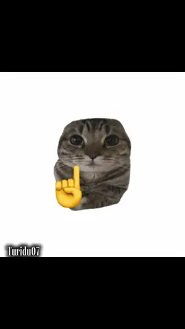 Cách trở nên ngầu lòi ☝️🤫😏😎 #chuyensinh #ngauloi #meme  #skibidi #anime