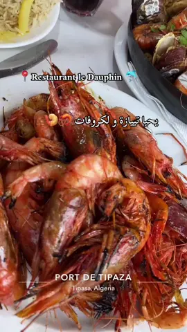 #tipaza42 #tipaza #تيبازة42 #تيبازة #dztiktok 