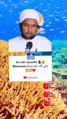 kusali rasuulka scw 