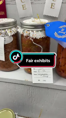 Let’s go look at the Fair Exhibits! #kentucky #countyfair #smalltown #Vlog 