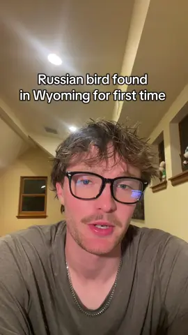 Wyoming with another first state record from Eurasia! #rarebird #birding #wyoming #casper #migration 