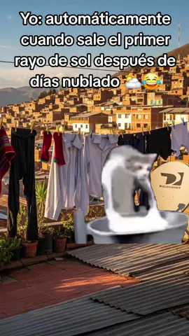 Tal cual jaj#Meme #MemeCut #ropa #peruanos #CapCut 