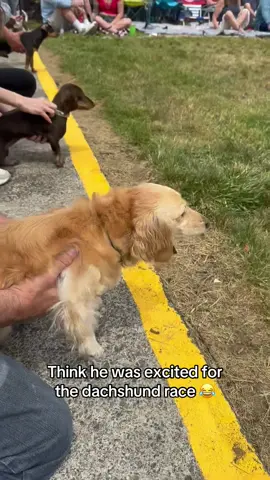 DACHSHUND WANTED TO RUN 😂 @I Can’t Even (via:@paige 🪼) 