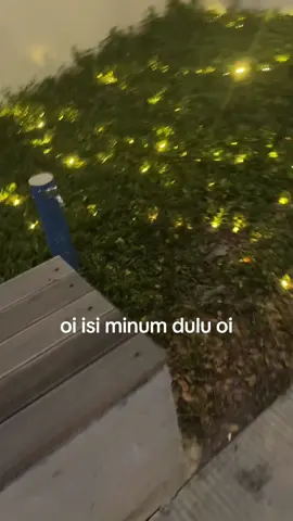 #gaknormal #roblox #duniagakwaras #fyp 