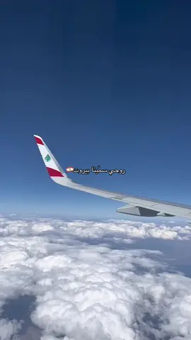 #لبنان #lebanesetiktok #lebanon #beirut #fyp 