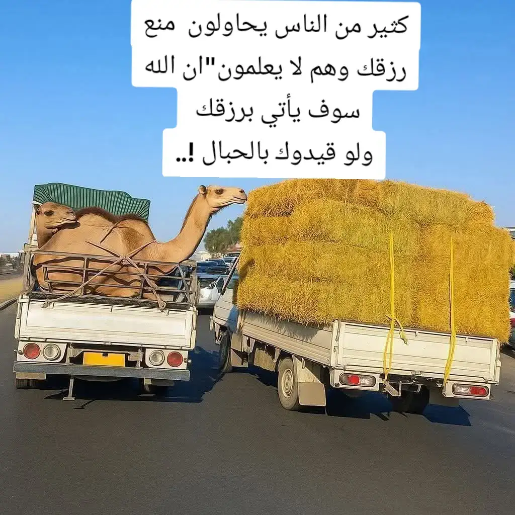 #يامن تحاول قطع رزق شخص مسكين اتقي الله في نفسك 