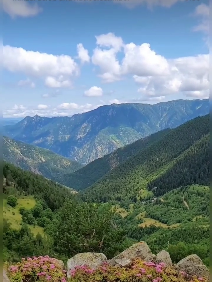 #blacksea #Rize #doğukaradeniz #nature #çamlıhemşin 