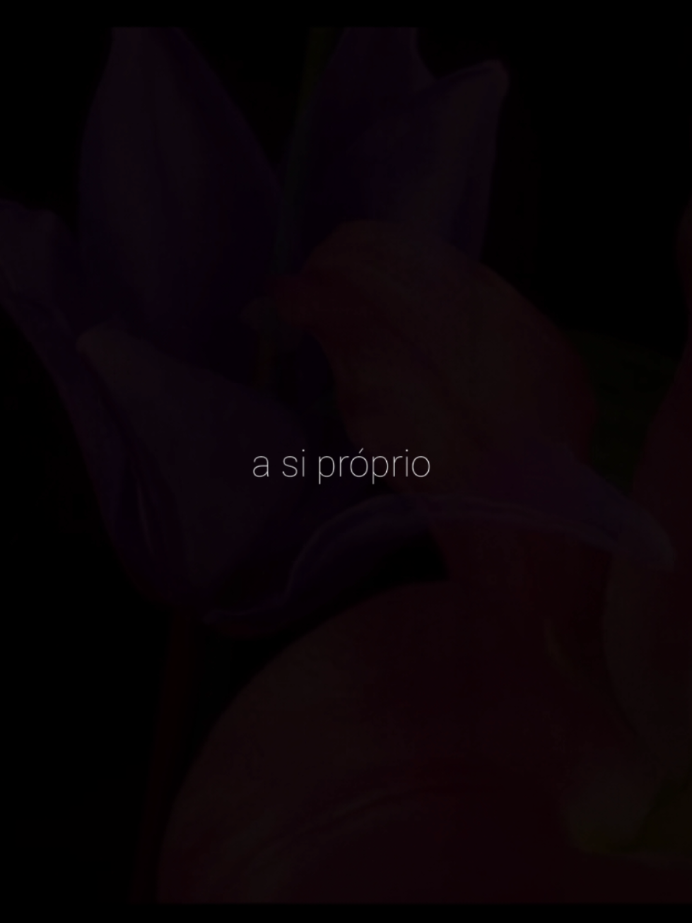 você tem a si próprio  #felca #real #tipografia 