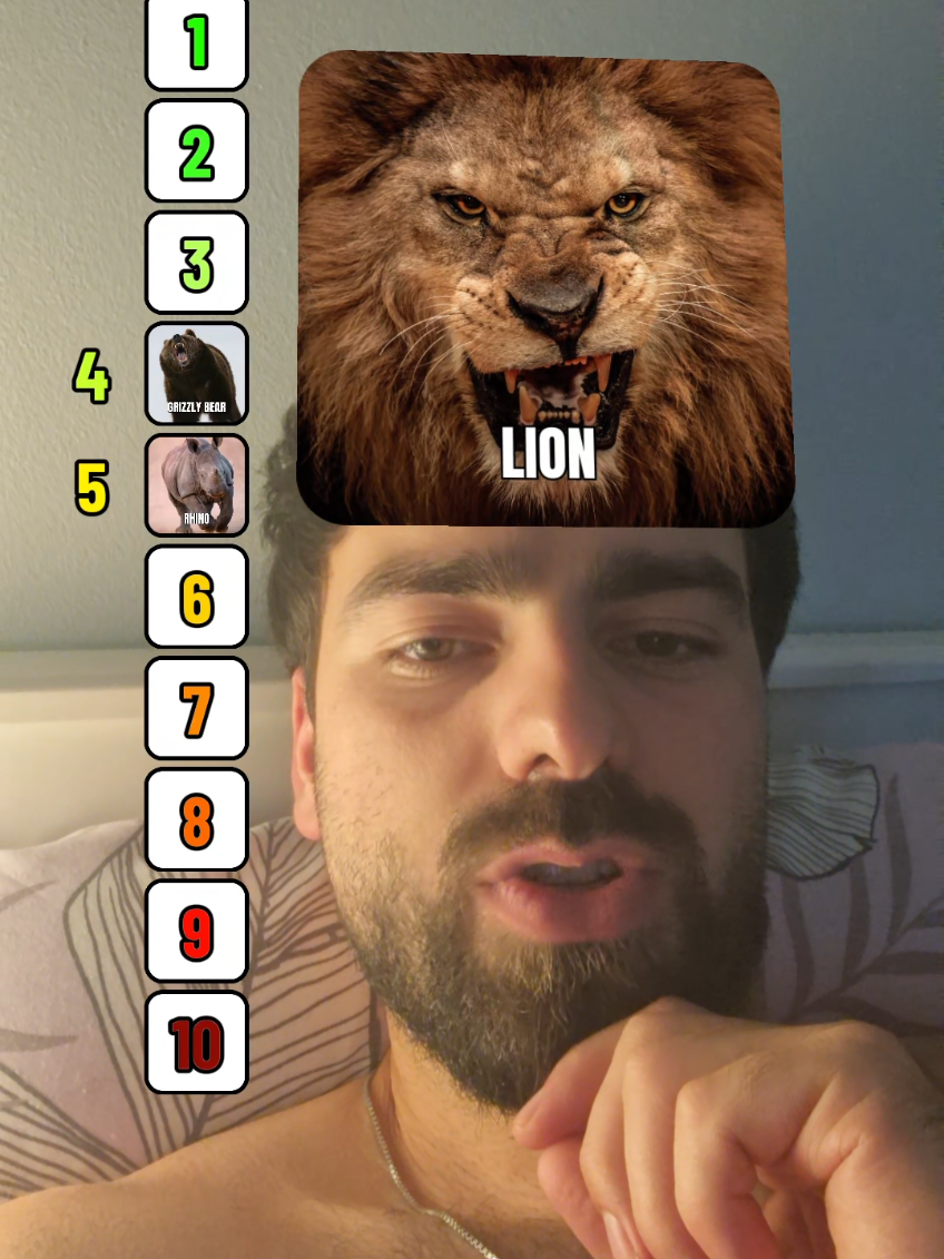 Garantiram da je Ajkula opasnija ☝🏼😂 #top10filter #zivotinje #opasnezivotinje #gorila #lav #viral #fyp 
