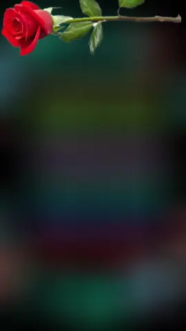 #CapCut 