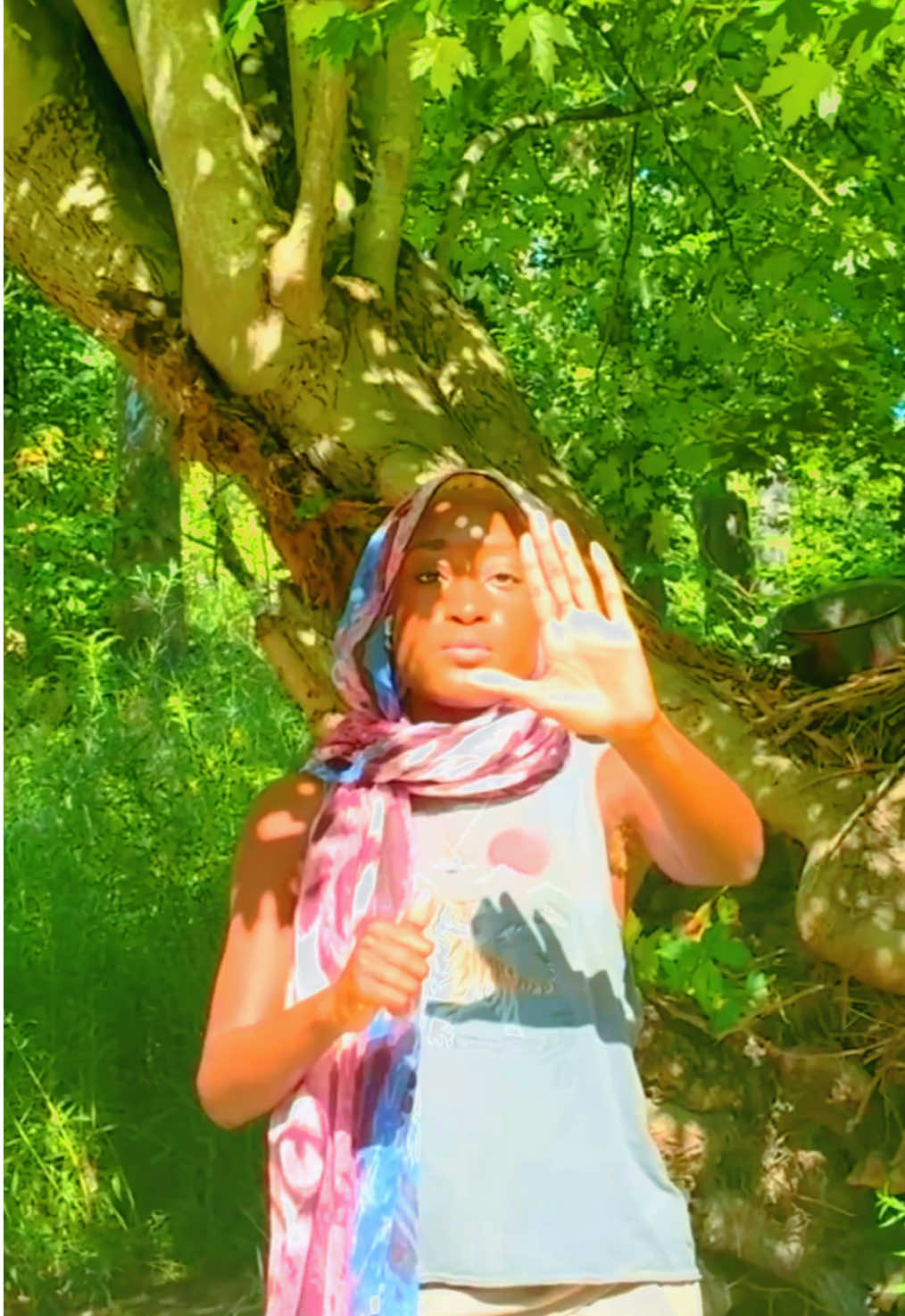 Peace and alignment light language healing with Gaia #lightcodes 