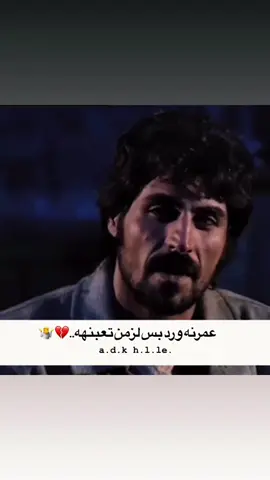 #ميماتي #عمرنه ورد#capcutvelocity #لايك__explore___ #الشعب_الصيني_ماله_حل😂😂 
